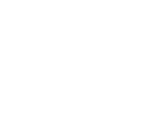 Los proyectos de revitalización son cada vez más importante en las ciudades polacas. En 2007, el Ayuntamiento de Ruda Slaska aprobó una resolución de un Programa Local de Revitalización de la Ciudad de Ruda Slaska para los años 2007-2015. Ruda Slaska es una ciudad con una larga tradición minera e industrial del acero, lo que exige la reestructuración seria y dinámica.

El Programa está dirigido a apoyar el desarrollo económico, el aumento de las inversiones, el turismo y el atractivo cultural y también contrarrestar los efectos negativos de la reestructuración de la industria pesada, como el desempleo, la pasividad de la comunidad local, la degradación del espacio municipal, la contaminación del medio ambiente.