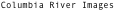 shapeimage_19_link_0