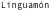 shapeimage_17_link_0