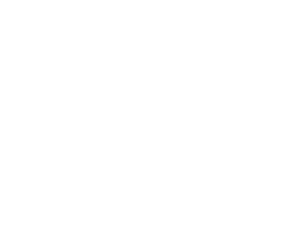 El Instituto Leibniz de Desarrollo Ecológico y Regional (RIPE) está involucrado en el proyecto B-Team como colaborador científico, supervisando a dos socios locales en el desarrollo urbano sostenible mediante el uso de brownfieds y en cuestiones estratégicas. Se centra especialmente en lo que relativo a los aspectos de adaptación al cambio climático, la biodiversidad y la conectividad de hábitats con las cuestiones de ordenación del territorio y las políticas en el contexto más amplio de las zonas urbanas en re-desarrollo. Sus consejos se basan en experiencias en materia de políticas de planificación y las posibilidades de señalización de zonas industriales abandonadas.