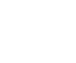 La Oficina de Planificación de la Ciudad tiene a su cargo los trabajos preparatorios y la coordinación de la revitalización de los Brownfields.Desde el punto de vista político y de planificación las resoluciones del Consejo de la ciudad son para orientar la reconversión de los terrenos baldíos con directrices y visiones para el desarrollo urbano y un desarrollo   urbano integrado de conceptos y objetivos.

De entre todos los Brownfields de la ciudad de Dresde, el recinto de Leipziger Vorstadt fue seleccionado para servir como área de estudio en el proyecto B-Team.