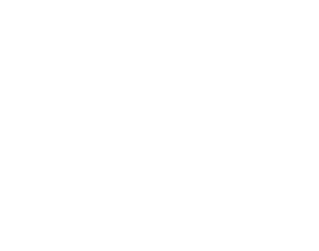 AREC Raumberg-Gumpenstein apunta a la implementación de una regeneración ecológica y técnica de brownfields. Trabaja sobre las directrices normativas y metodológicas: La creación de un alto valor estético con la combinación de plantas autóctonas y la regeneración de zonas industriales abandonadas, complementando la planificación y esfuerzos en la  construcción.

La tarea principal será compartir conocimientos y dar consejos, cuando sea necesario, a los socios en cuestiones de revegetación y recuperación de brownfields, que debe conducir a un entorno atractivo, dando lo mejor de las condiciones previas.