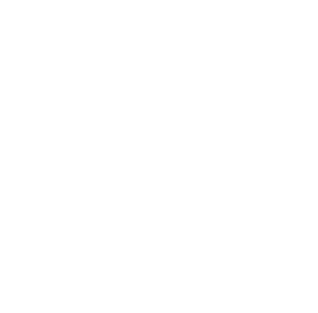 Glowny Instytut Górnictwa /Instituto de Minería/, es una institución pública dedicada a la investigación, el desarrollo en la minería, la ingeniería ambiental, ingeniería civil y áreas afines. Su actividad comprende: el desarrollo sostenible de las regiones, la gestión de residuos industriales y municipales, la protección del agua y la gestión del agua, ahorro de energía y la protección del aire, las auditorías ecológicas y la energía, la evaluación de impacto ambiental y la recuperación de áreas degradadas industriales.

El Instituto de Minería está actuando como asesor y experto en varios aspectos en los procesos de revitalización de Brownfield que se están produciendo en muchos municipios de la Región de Silesia.