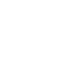 Sevilla Global se adhiere al proyecto para aprender de las experiencias de otros socios, con el objetivo de proteger y mejorar el patrimonio industrial y memoria histórica en el centro de Sevilla. Las actividades a desarrollar son:Creación de una base de datos que describa los espacios industriales en Sevilla, incluyendo toda la información disponible.El desarrollo de enfoques innovadores para la protección del suelo y la rehabilitación de zonas industriales abandonadas.Localización de brownfields con potencial para el desarrollo económico de la zona.Creación de un proyecto integral de intervención en la Real Fábrica de Artillería.Ofrecer una selección de las mejores prácticas en el ámbito nacional e internacional.